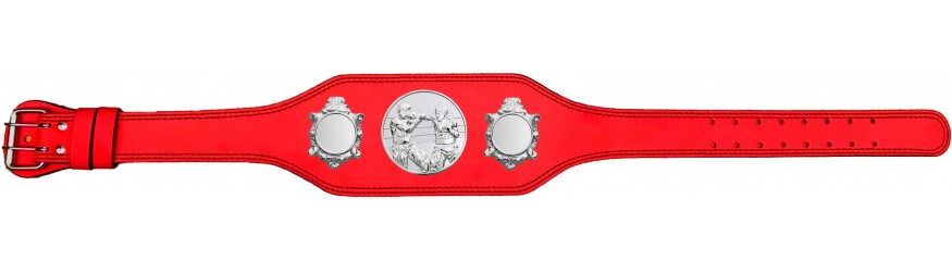 BOXING CHAMPIONSHIP BELT-BUD003/S/BOXS-4 COLOURS